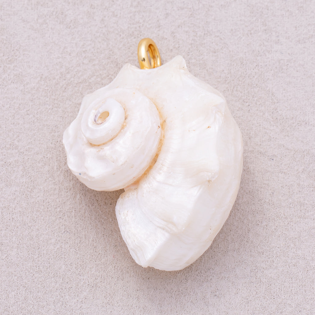 16K Gold Plated White Natural Conch Clam Seashell Beach Charm - Sold Each