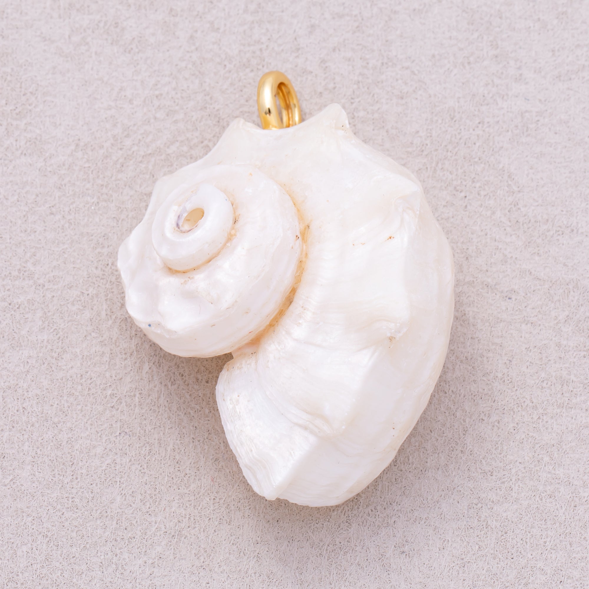 16K Gold Plated White Natural Conch Clam Seashell Beach Charm - Sold Each