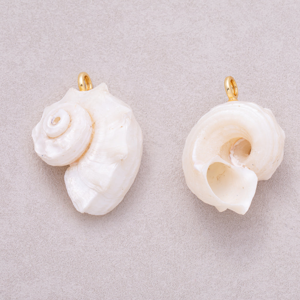 16K Gold Plated White Natural Conch Clam Seashell Beach Charm - Sold Each