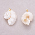 16K Gold Plated White Natural Conch Clam Seashell Beach Charm - Sold Each