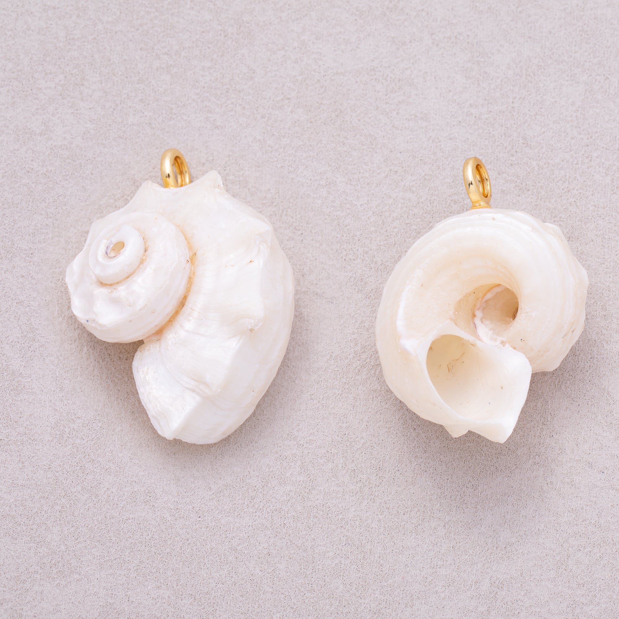 16K Gold Plated White Natural Conch Clam Seashell Beach Charm - Sold Each