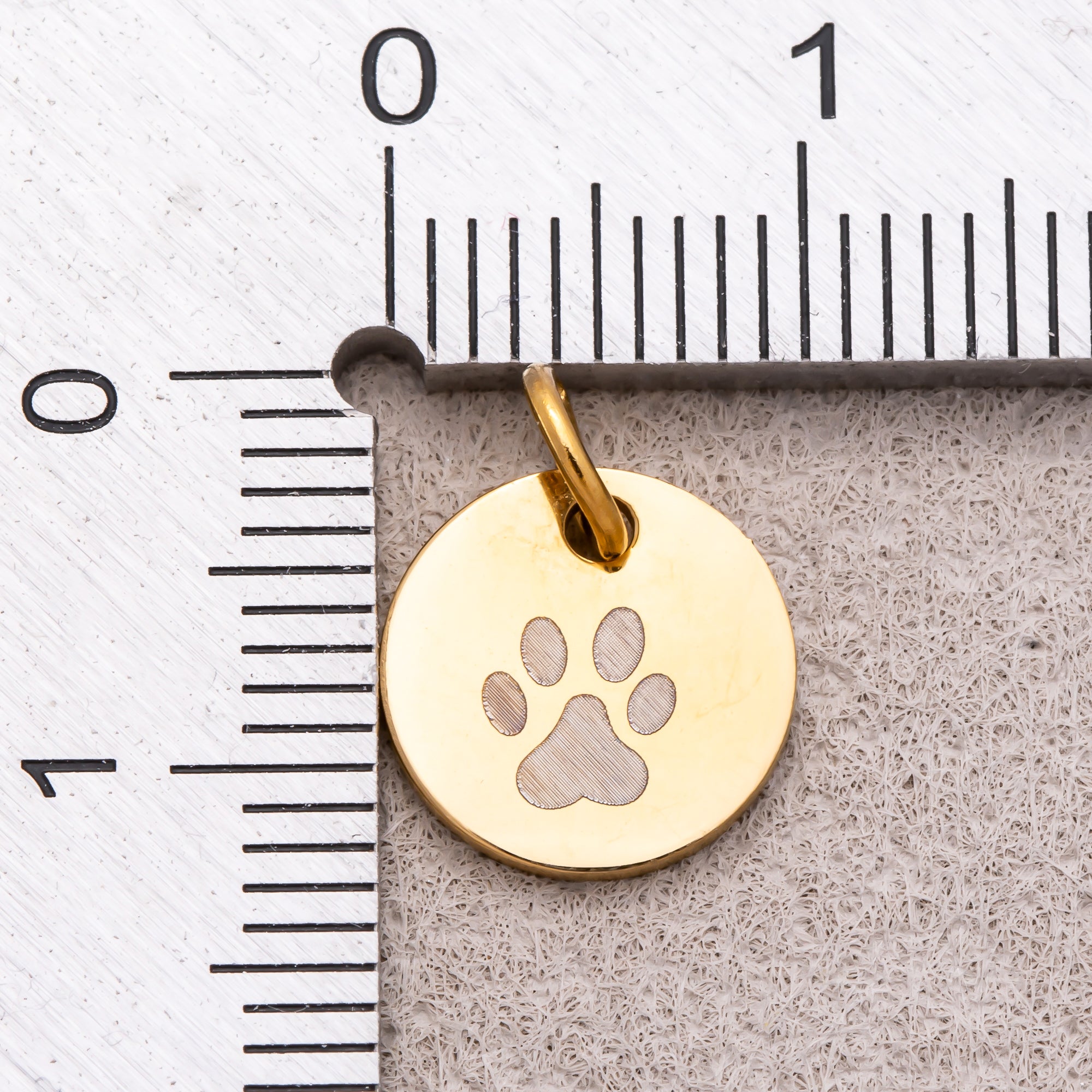 Gold PVD Stainless Steel Minimalist Nature Round Disc Medallion Charm